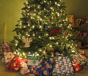 Screen Shot 2013-12-18 at 3.22.29 PM