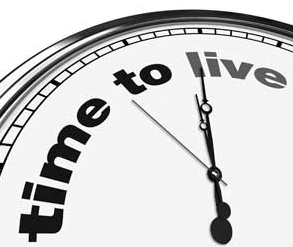 Screenshot 2015-04-23 at 11.48.20 AM