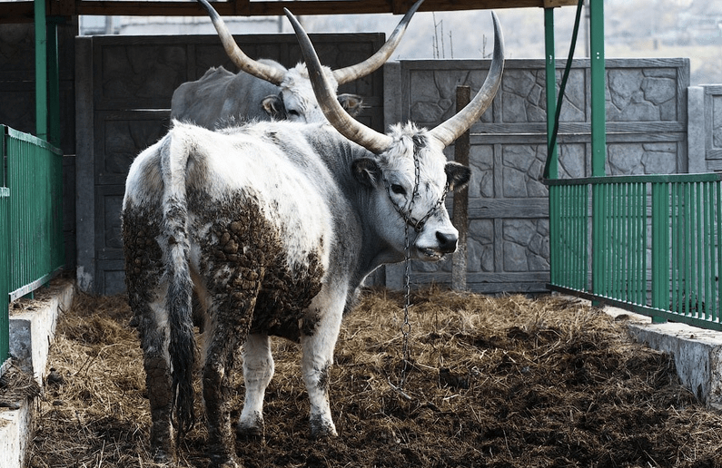 Screen Shot 2017-06-01 at 10.30.26 AM.png