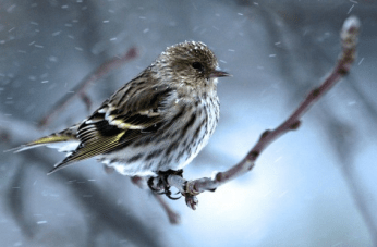 Screen Shot 2018-11-06 at 2.28.04 PM.png