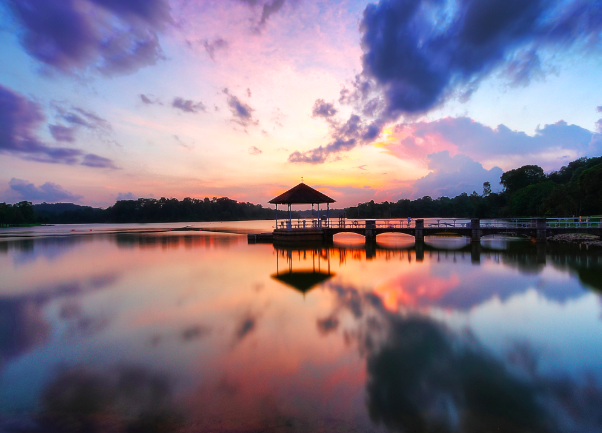 Screen Shot 2018-11-06 at 2.30.18 PM.png