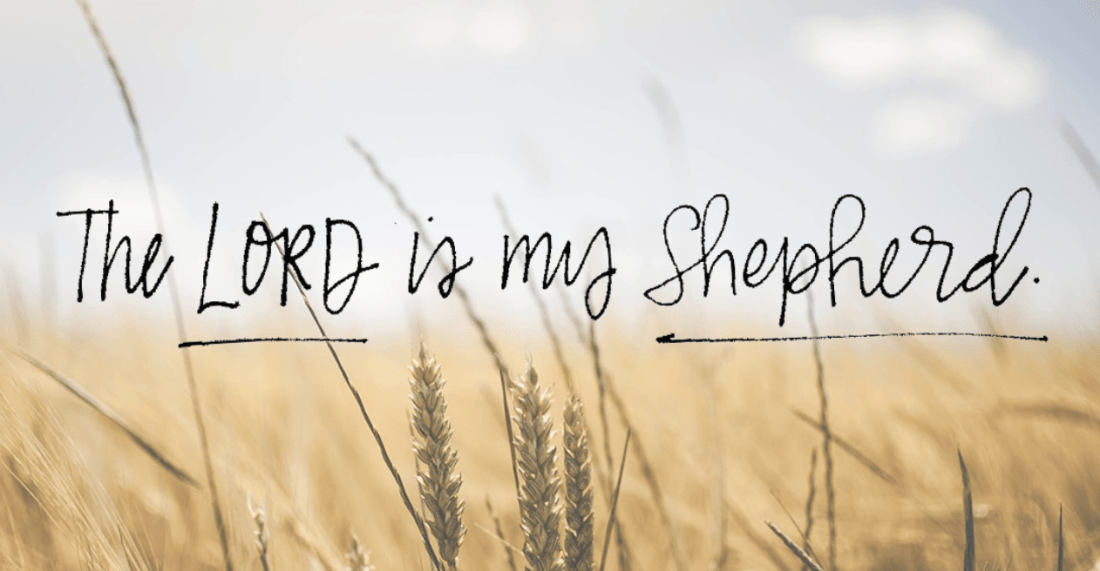 Screenshot 2019-02-21 at 2.59.19 PM