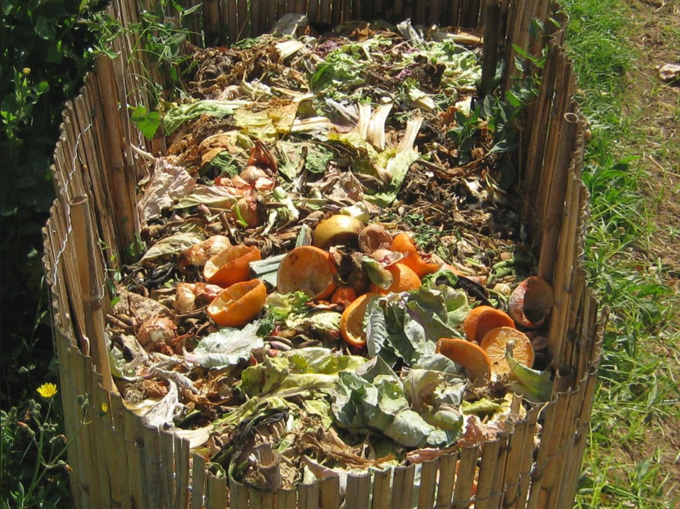 Screenshot 2019-02-26 at 4.46.52 PM