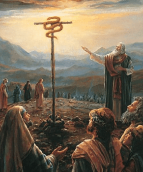 Screenshot 2019-03-27 at 11.38.56 AM