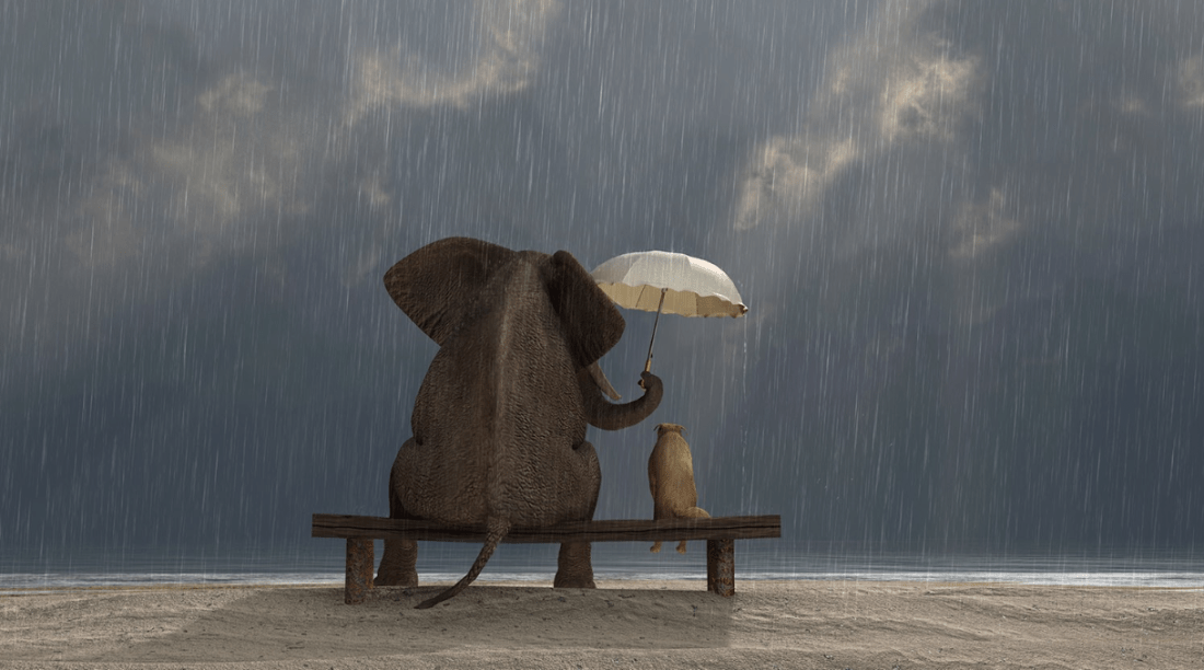 Screenshot 2019-07-31 at 2.23.29 PM