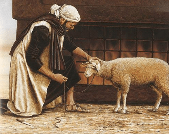 Screenshot 2020-02-19 at 8.21.28 PM