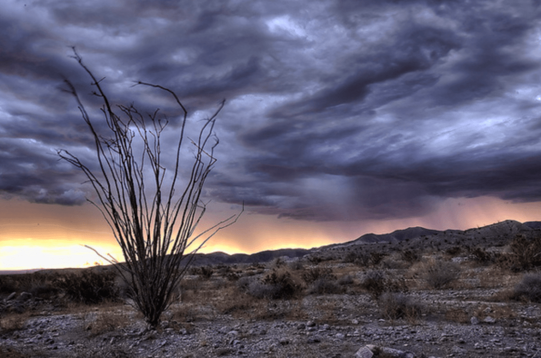 Screenshot 2020-04-13 at 8.31.58 PM