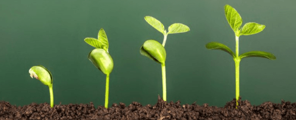 Screenshot 2020-04-21 at 3.08.24 PM