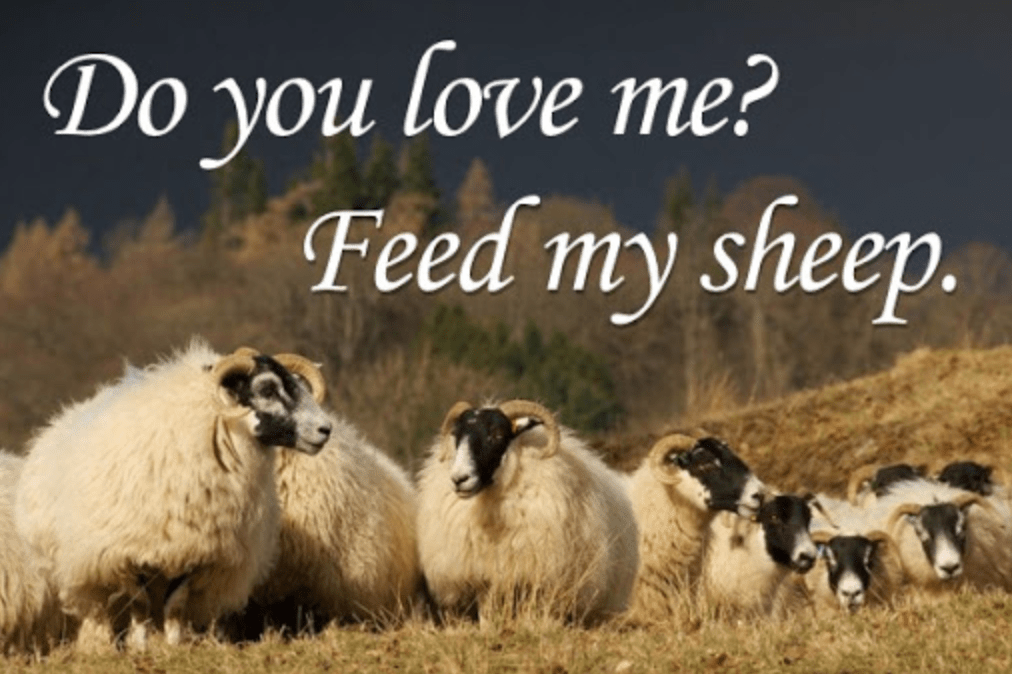 Screen Shot 2020-05-04 at 7.49.07 PM