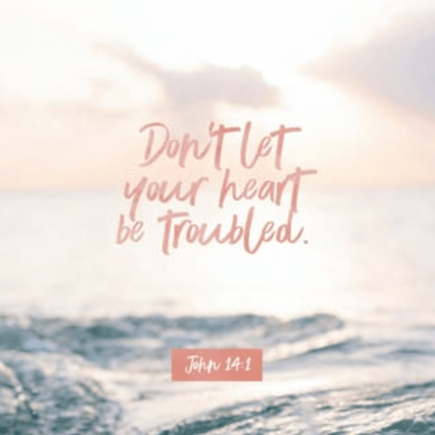 Screen Shot 2020-05-12 at 5.28.15 PM