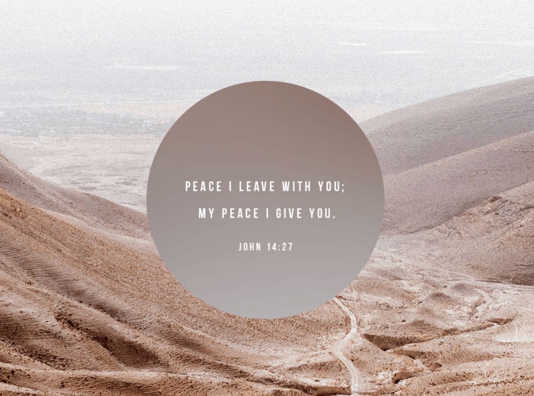 Screen Shot 2020-05-17 at 4.37.57 PM