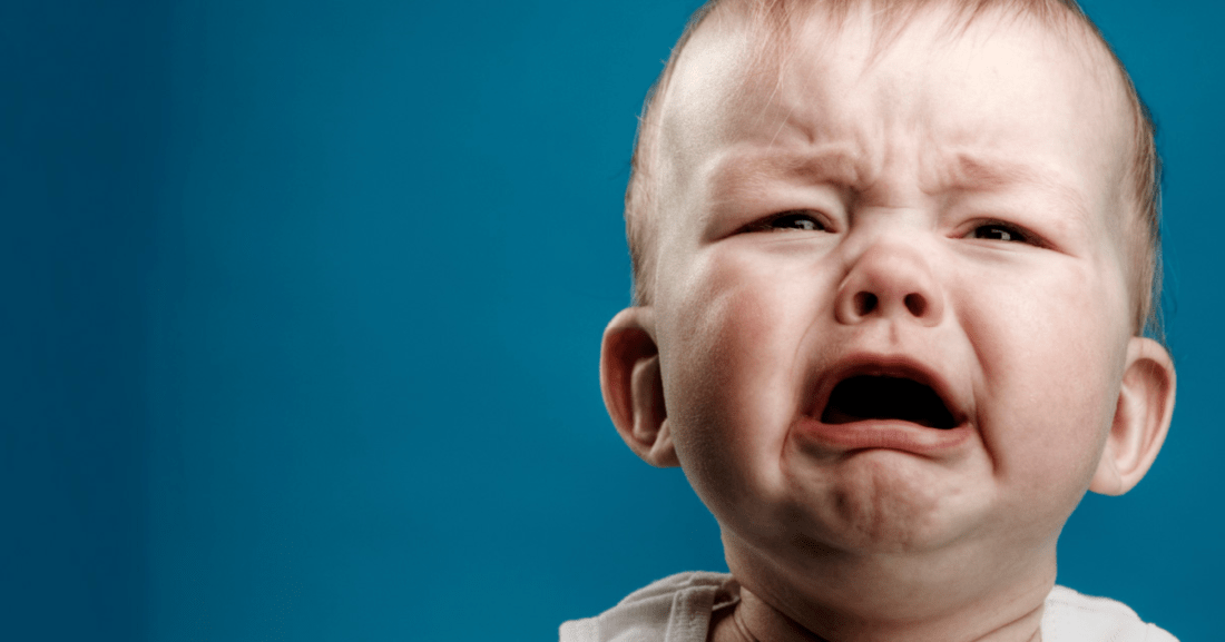 Screen Shot 2020-05-19 at 1.40.26 AM