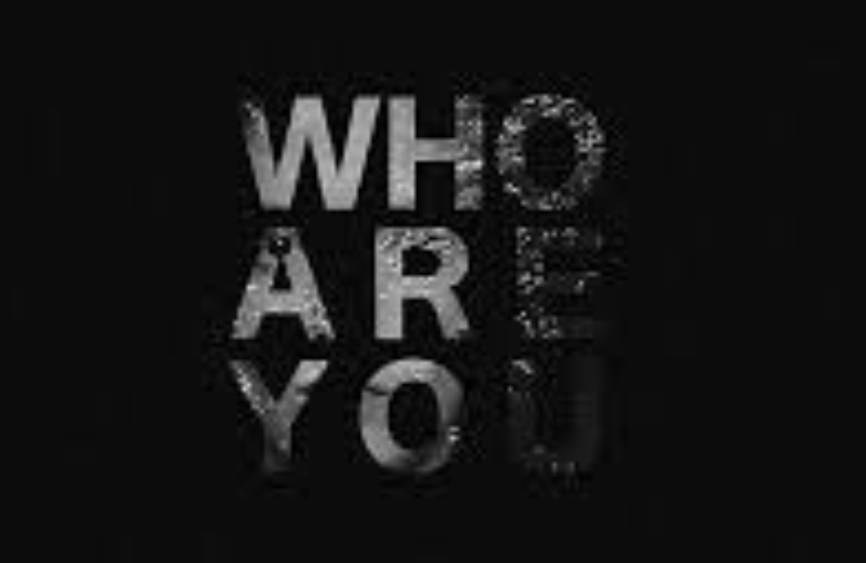 Screen Shot 2020-06-11 at 3.03.49 PM