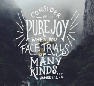 Screen Shot 2020-06-23 at 9.14.14 PM