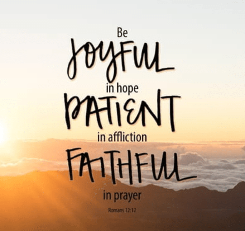 Screen Shot 2020-06-26 at 7.06.13 PM