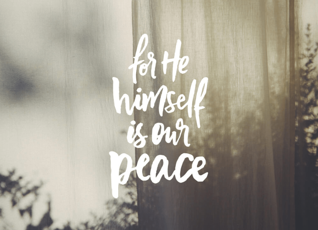 Screen Shot 2020-06-30 at 2.46.05 PM