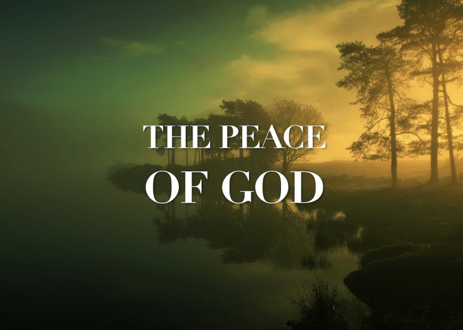 Screen Shot 2020-06-30 at 3.26.43 PM