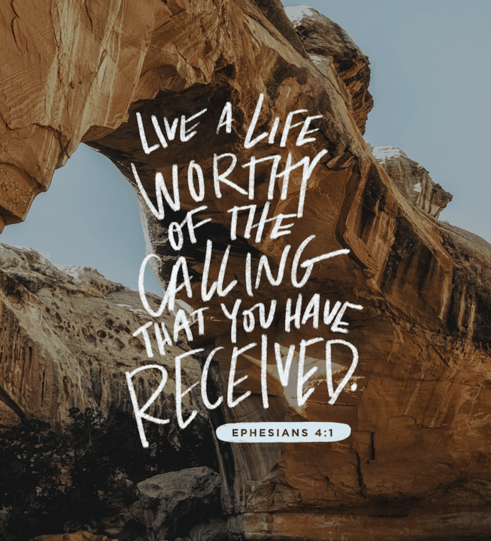 Screen Shot 2020-07-08 at 2.53.05 PM