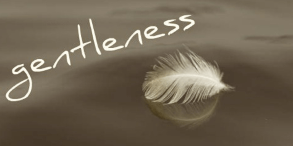 Screen Shot 2020-08-04 at 7.58.11 PM