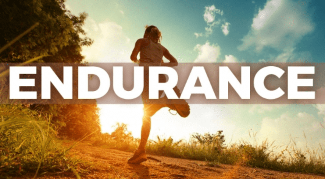 Screen Shot 2020-08-13 at 9.37.05 PM